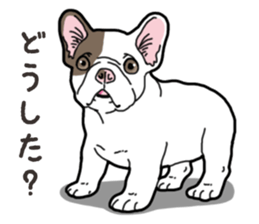 Wanko-Biyori French Bulldog 2 sticker #15121708