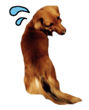 Dachshund named Eku sticker #15121993