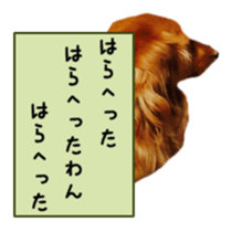 Dachshund named Eku sticker #15121998