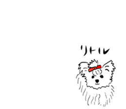 sige sticker #15122134