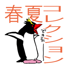 IWA-SAN Spring&Summer Collection