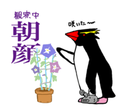 IWA-SAN Spring&Summer Collection sticker #15122257