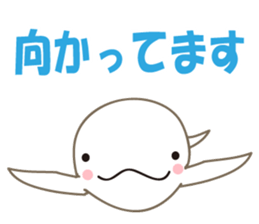 Finless porpoise Q-san sticker #15122373