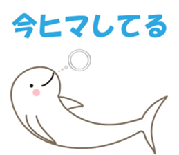 Finless porpoise Q-san sticker #15122380