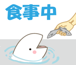 Finless porpoise Q-san sticker #15122384