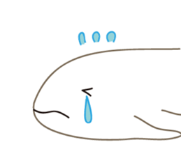 Finless porpoise Q-san sticker #15122393