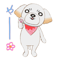 Nice ShihTzu's Nice Sticker sticker #15123756