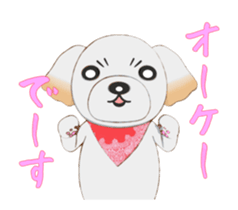 Nice ShihTzu's Nice Sticker sticker #15123758