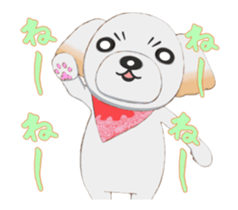 Nice ShihTzu's Nice Sticker sticker #15123769