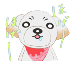 Nice ShihTzu's Nice Sticker sticker #15123771