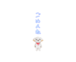 Nice ShihTzu's Nice Sticker sticker #15123773