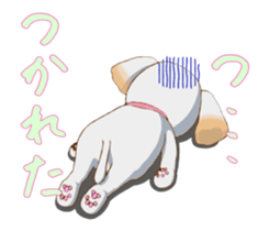 Nice ShihTzu's Nice Sticker sticker #15123776