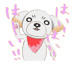 Nice ShihTzu's Nice Sticker sticker #15123777