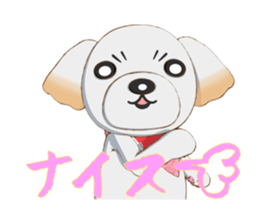 Nice ShihTzu's Nice Sticker sticker #15123778