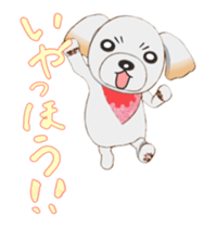 Nice ShihTzu's Nice Sticker sticker #15123779