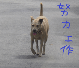 German home to sticker #15127613