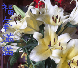 German home to sticker #15127614