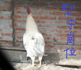 German home to sticker #15127619