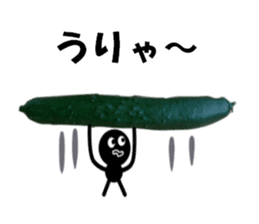 Fresh cucumber photo type sticker #15127661