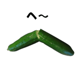 Fresh cucumber photo type sticker #15127662