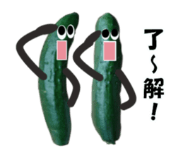 Fresh cucumber photo type sticker #15127663