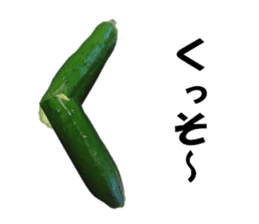Fresh cucumber photo type sticker #15127664