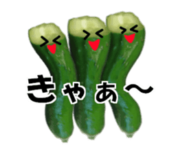 Fresh cucumber photo type sticker #15127665