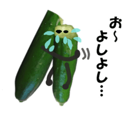 Fresh cucumber photo type sticker #15127669