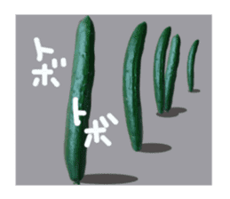 Fresh cucumber photo type sticker #15127675