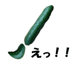 Fresh cucumber photo type sticker #15127683