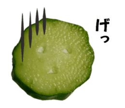 Fresh cucumber photo type sticker #15127685