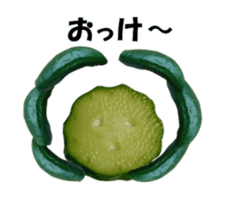 Fresh cucumber photo type sticker #15127689