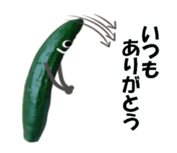 Fresh cucumber photo type sticker #15127691