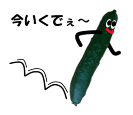 Fresh cucumber photo type sticker #15127692