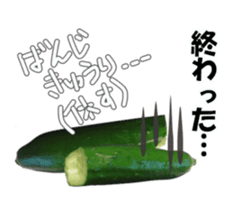Fresh cucumber photo type sticker #15127693