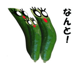 Fresh cucumber photo type sticker #15127694