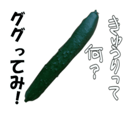 Fresh cucumber photo type sticker #15127696