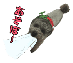 Giant toy-poodle KABUTO sticker #15128463