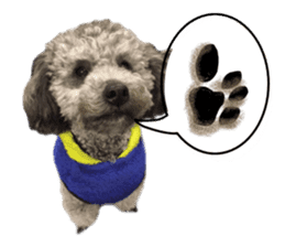 Giant toy-poodle KABUTO sticker #15128473