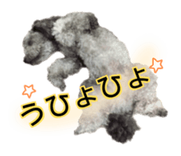 Giant toy-poodle KABUTO sticker #15128477