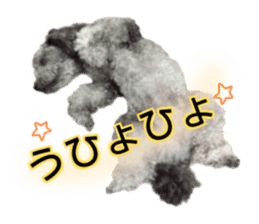 Giant toy-poodle KABUTO sticker #15128477