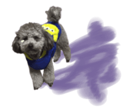 Giant toy-poodle KABUTO sticker #15128479