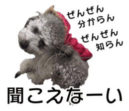 Giant toy-poodle KABUTO sticker #15128487