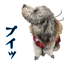 Giant toy-poodle KABUTO sticker #15128493
