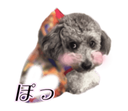 Giant toy-poodle KABUTO sticker #15128494
