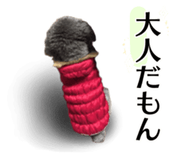 Giant toy-poodle KABUTO sticker #15128497