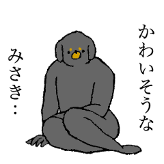 Miniature Dachshund's name is Misaki