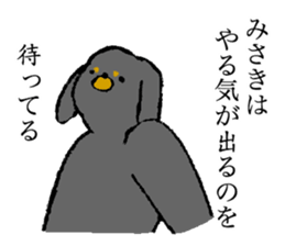 Miniature Dachshund's name is Misaki sticker #15133181