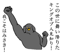 Miniature Dachshund's name is Misaki sticker #15133200