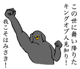 Miniature Dachshund's name is Misaki sticker #15133200